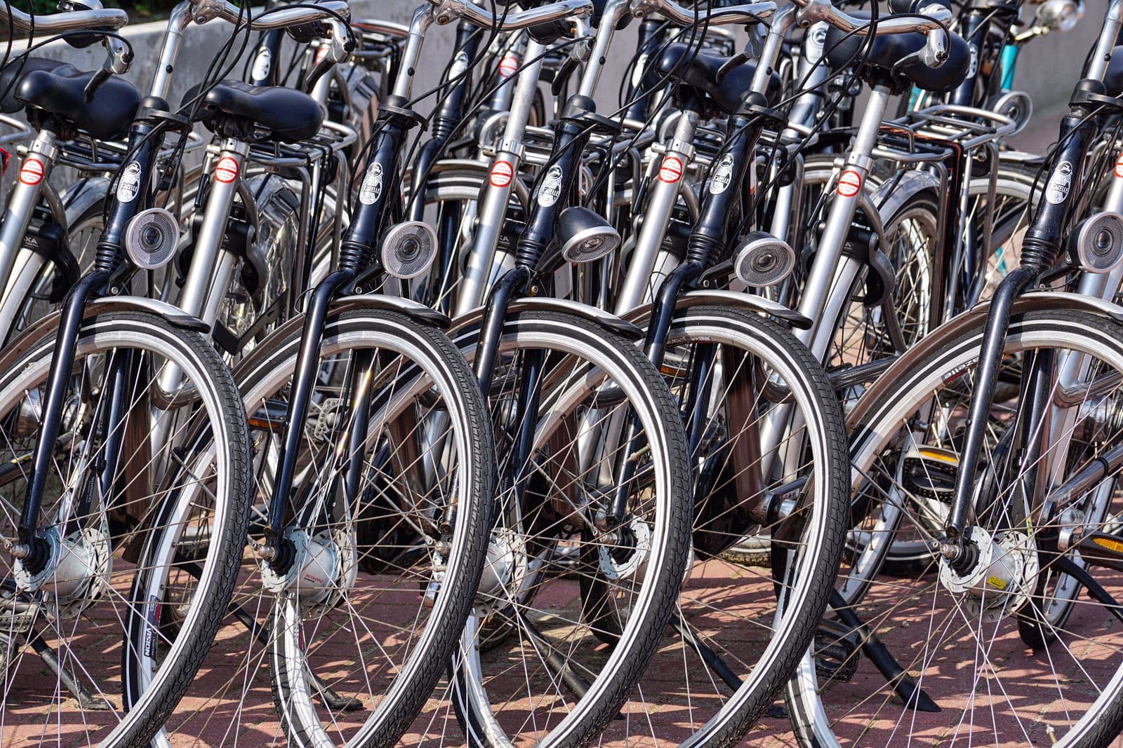 Rows of city bikes lined up with their front wheels aligned